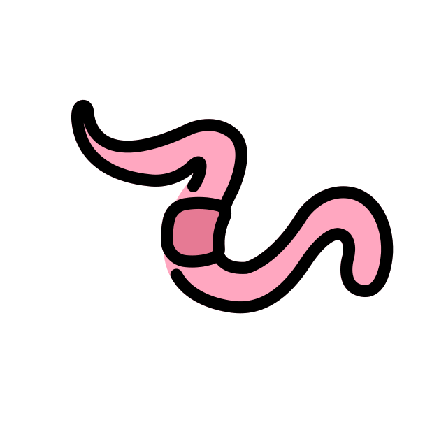 pink worm